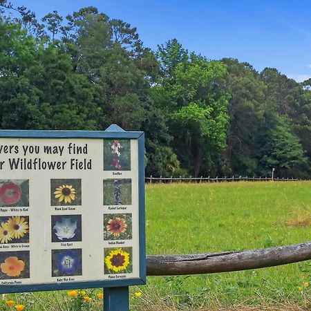 150 Otter Road Villa Pulau Hilton Head Luaran gambar