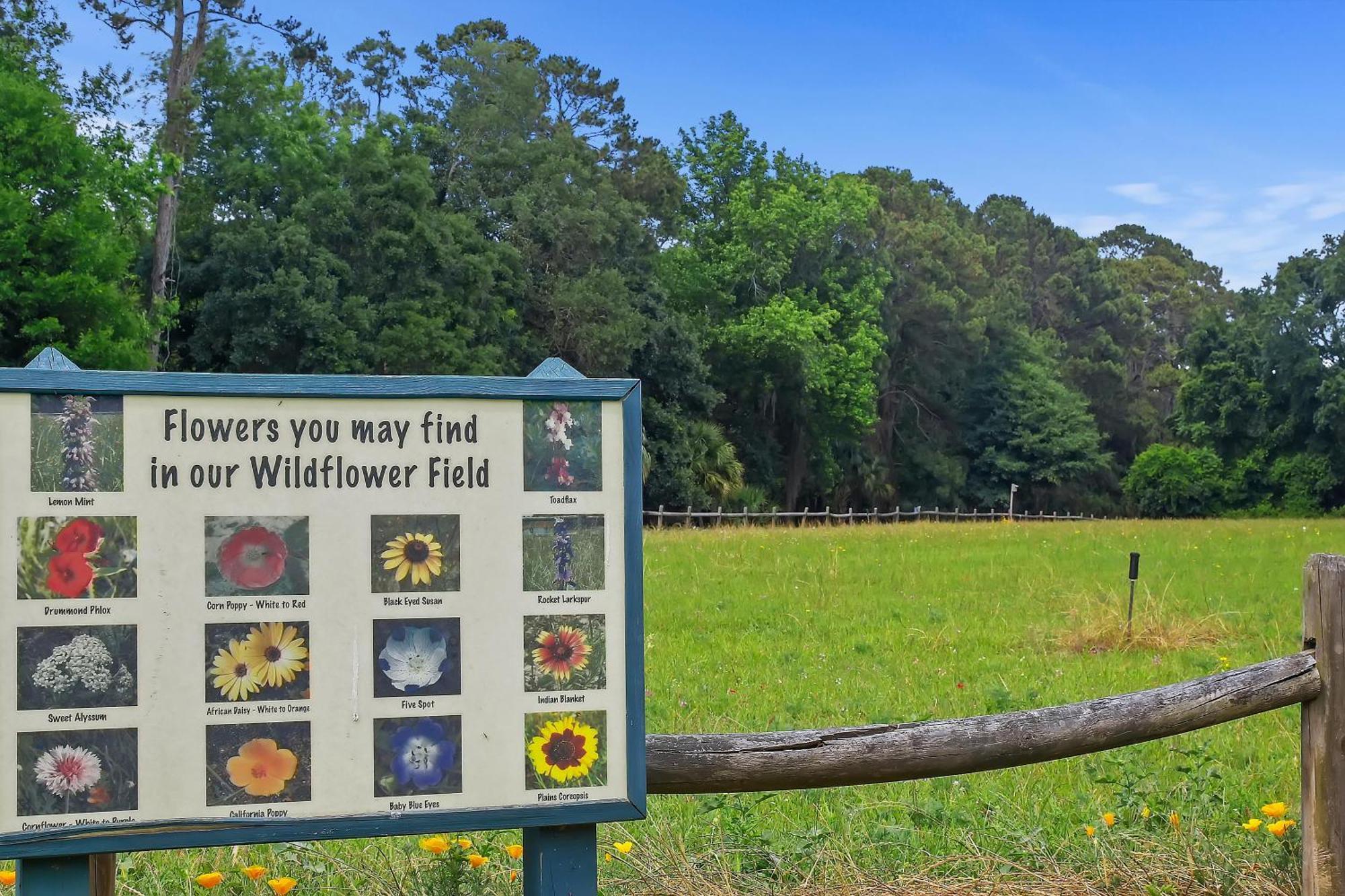 150 Otter Road Villa Pulau Hilton Head Luaran gambar